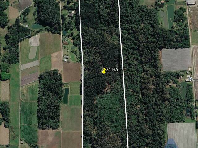 #418 - Chácara para Venda em Farroupilha - RS - 2