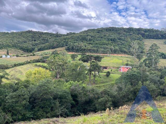 #422 - Chácara para Venda em Flores da Cunha - RS - 2