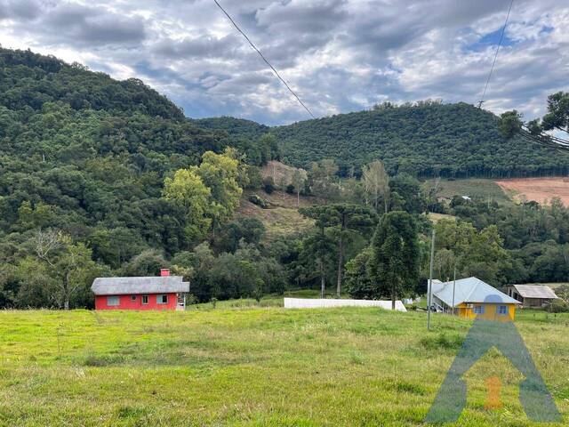 #422 - Chácara para Venda em Flores da Cunha - RS - 1