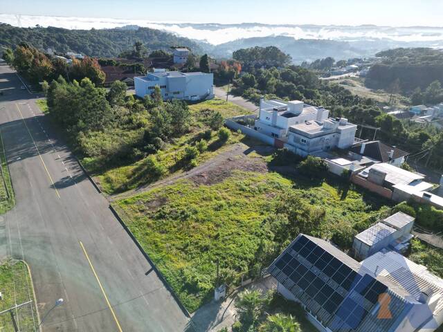 Terreno para Venda em Flores da Cunha - 4