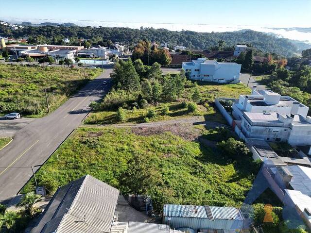 Terreno para Venda em Flores da Cunha - 5