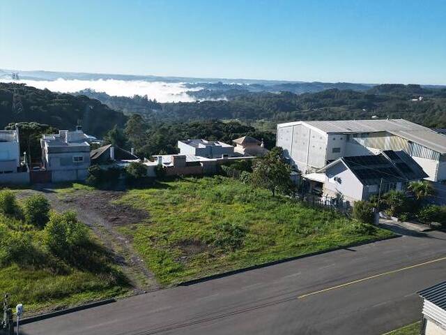 #298 - Terreno para Venda em Flores da Cunha - RS - 3