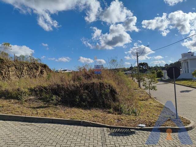 Venda em Villa Romana - Flores da Cunha