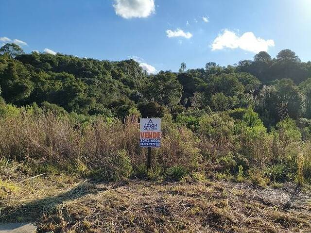#426 - Terreno para Venda em Flores da Cunha - RS - 1