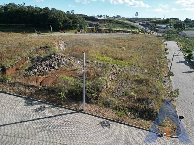 #427 - Terreno para Venda em Flores da Cunha - RS - 2
