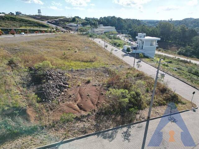 #427 - Terreno para Venda em Flores da Cunha - RS - 3
