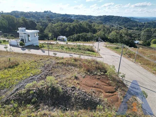 Terreno para Venda em Flores da Cunha - 4