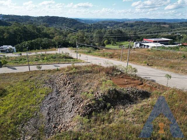 Terreno para Venda em Flores da Cunha - 5