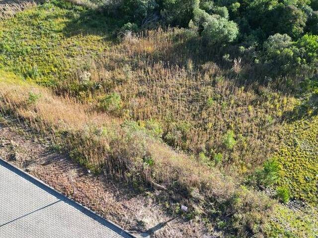 #426 - Terreno para Venda em Flores da Cunha - RS - 2