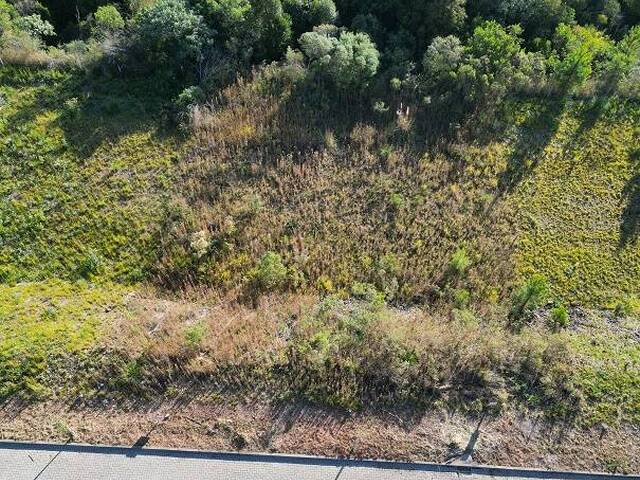 #426 - Terreno para Venda em Flores da Cunha - RS - 3
