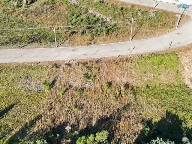 Terreno para Venda em Flores da Cunha - 4