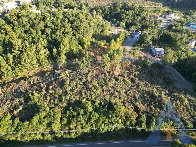 #424 - Terreno para Venda em Flores da Cunha - RS - 1