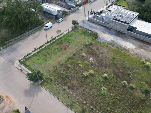 Terreno para Venda em Flores da Cunha - 2