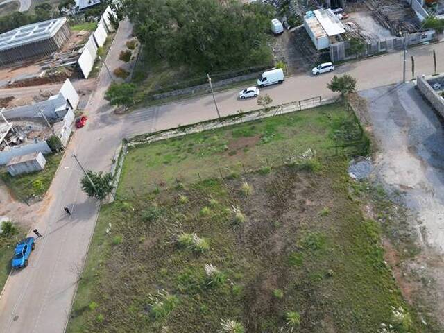 Terreno para Venda em Flores da Cunha - 4