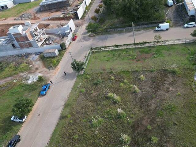 Terreno para Venda em Flores da Cunha - 3