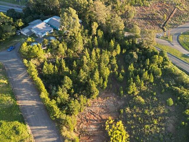 #376 - Terreno para Venda em Flores da Cunha - RS - 3