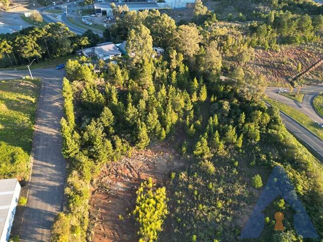 Terreno para Venda em Flores da Cunha - 4