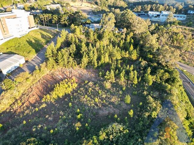 Terreno para Venda em Flores da Cunha - 5
