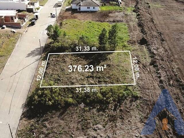 #345 - Terreno para Venda em Flores da Cunha - RS - 1
