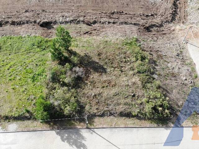#345 - Terreno para Venda em Flores da Cunha - RS - 3