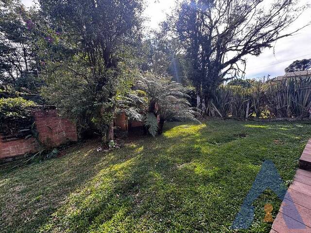 #429 - Casa para Venda em Caxias do Sul - RS - 3