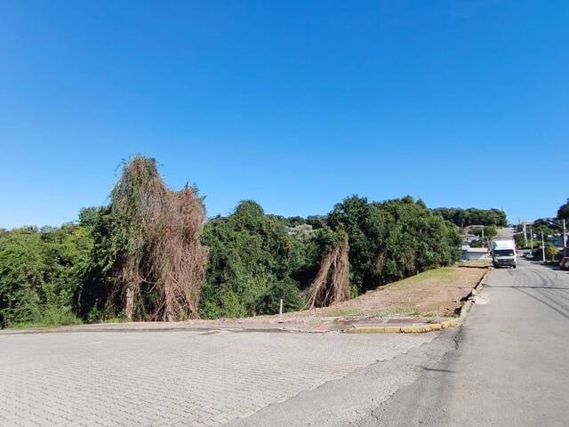 #399 - Terreno para Venda em Flores da Cunha - RS - 1