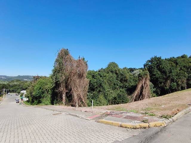 #399 - Terreno para Venda em Flores da Cunha - RS - 2