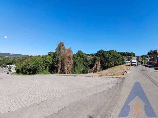 #399 - Terreno para Venda em Flores da Cunha - RS - 3
