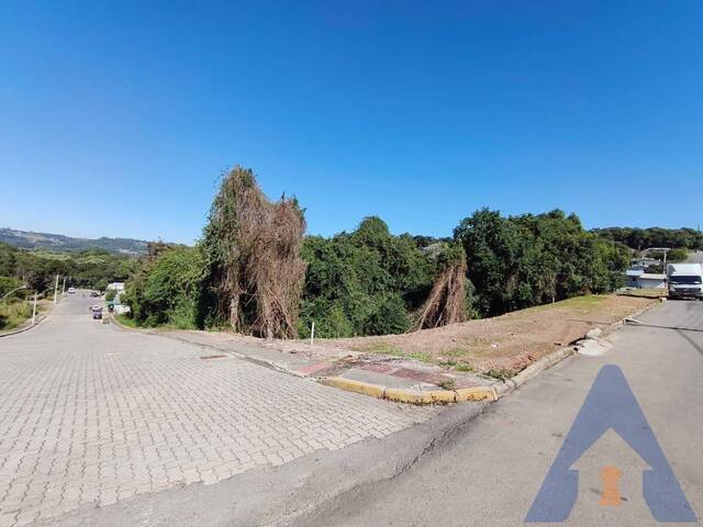 Terreno para Venda em Flores da Cunha - 5