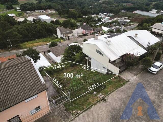 #432 - Terreno para Venda em Flores da Cunha - RS - 1