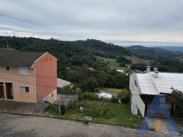 Terreno para Venda em Flores da Cunha - 4