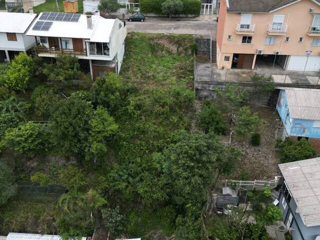 #432 - Terreno para Venda em Flores da Cunha - RS - 2
