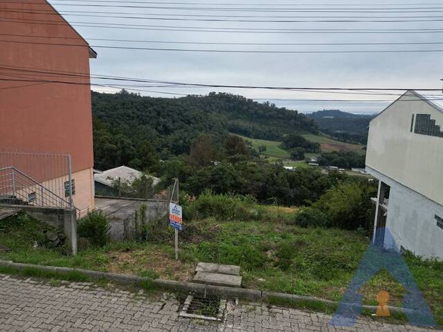 #432 - Terreno para Venda em Flores da Cunha - RS - 3