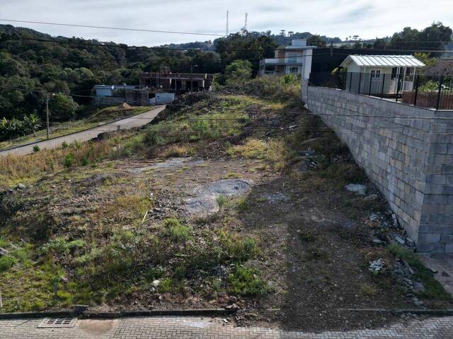 Terreno para Venda em Flores da Cunha - 3