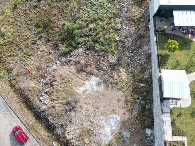 Terreno para Venda em Flores da Cunha - 4