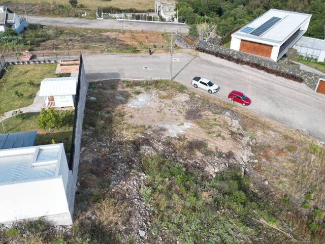 Terreno para Venda em Flores da Cunha - 2