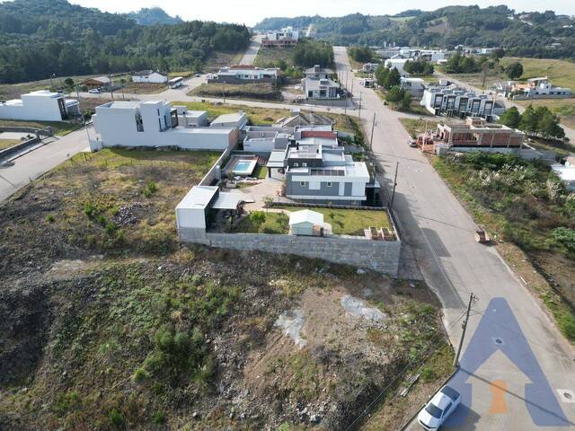 Terreno para Venda em Flores da Cunha - 5