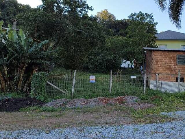 Terreno para Venda em Flores da Cunha - 5