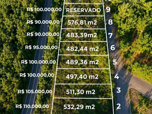 #424 - Terreno para Venda em Flores da Cunha - RS - 2
