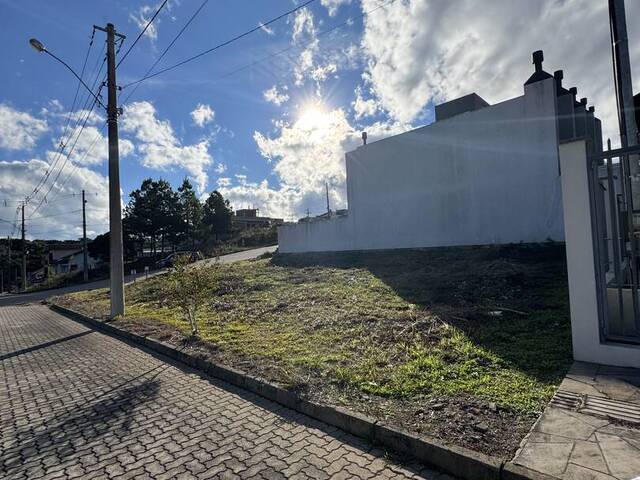 Venda em Loteamento Conz - Flores da Cunha