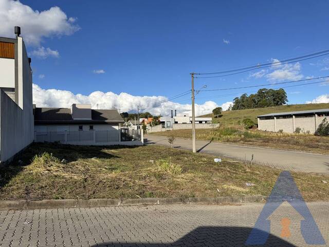 Terreno para Venda em Flores da Cunha - 2
