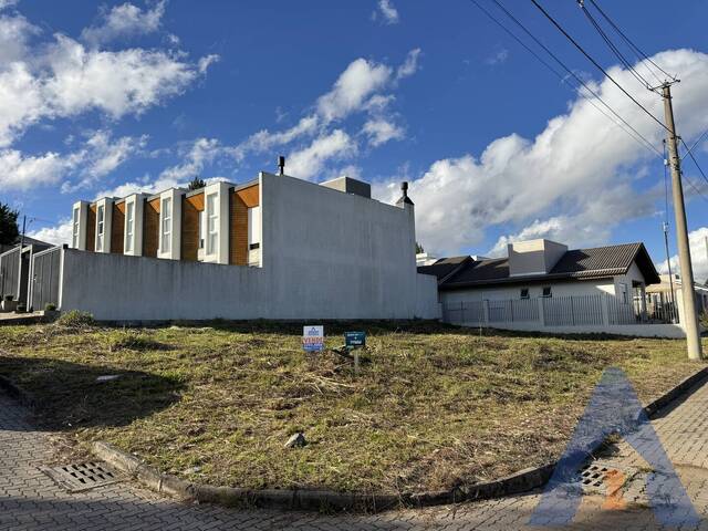Terreno para Venda em Flores da Cunha - 3