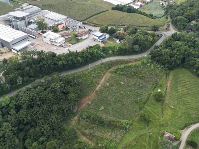 #417 - Chácara para Venda em Flores da Cunha - RS - 3