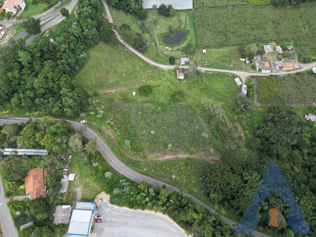 Chácara para Venda em Flores da Cunha - 5