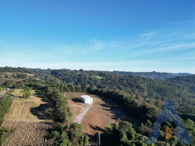 Área Industrial para Venda em Flores da Cunha - 5