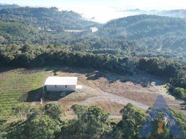#447 - Área Industrial para Venda em Flores da Cunha - RS - 3