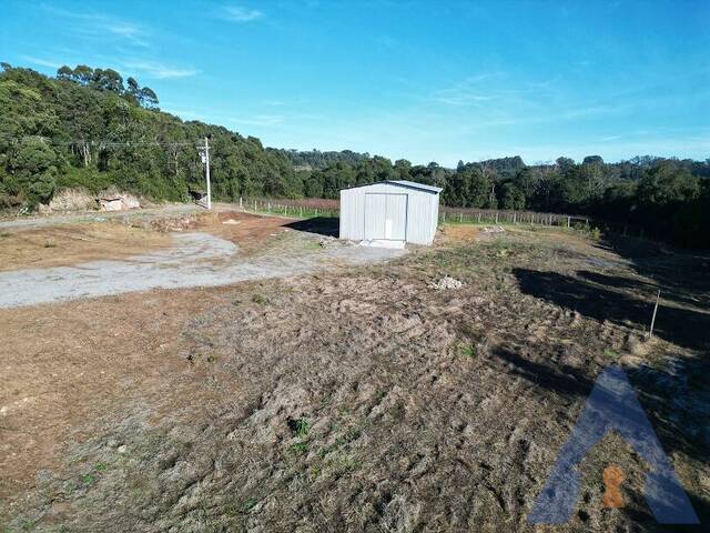 Venda em Travessão Claro - Flores da Cunha