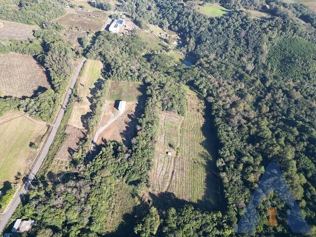 Área Industrial para Venda em Flores da Cunha - 5