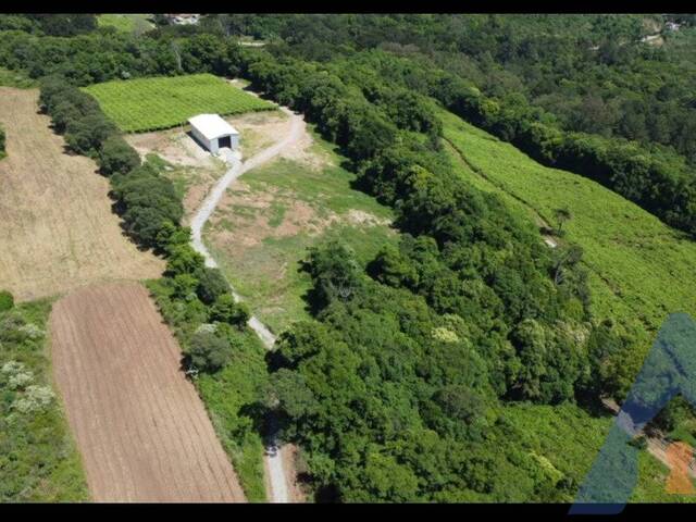 Área Industrial para Venda em Flores da Cunha - 4