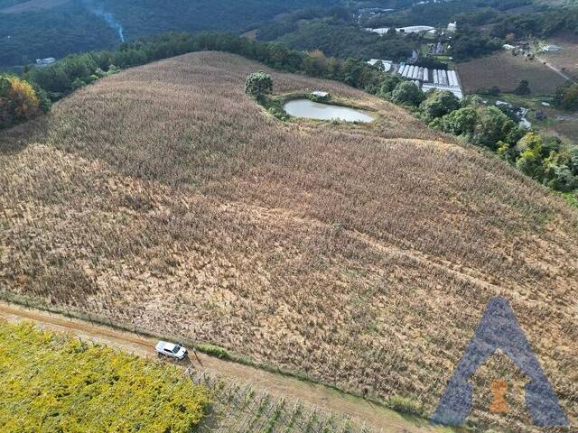Chácara para Venda em Flores da Cunha - 4